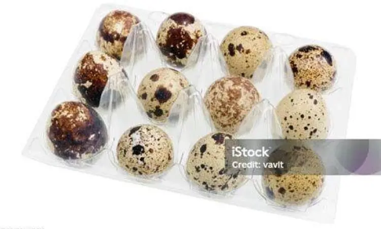 telur puyuh telur puyuh