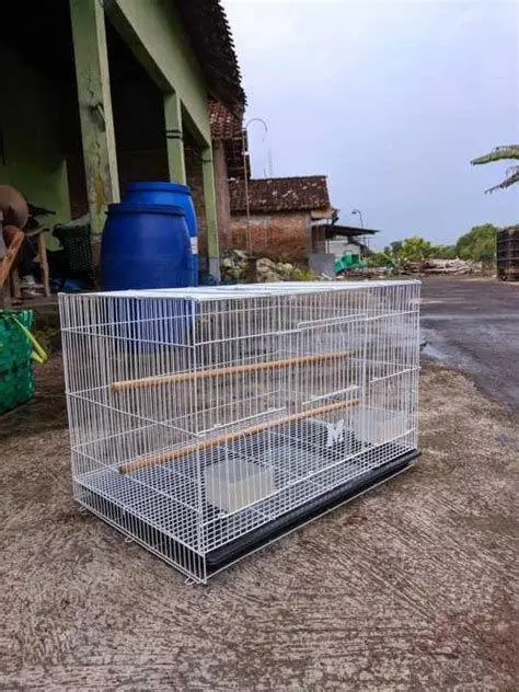 Kandang ternak burung Kandang ternak burung
