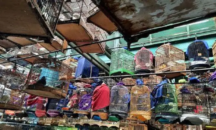 Pasar burung tradisional Pasar burung tradisional