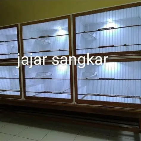 kandang ternak burung kenari kandang ternak burung kenari