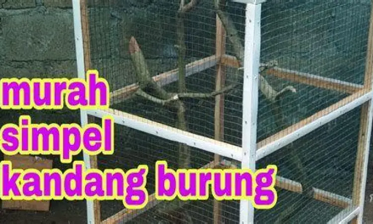 Kandang ternak burung kawat ram
