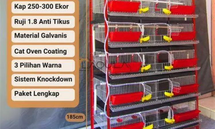 kandang puyuh petelur