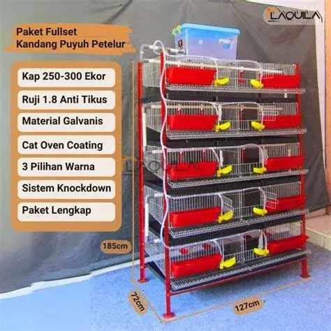 kandang puyuh petelur kandang puyuh petelur