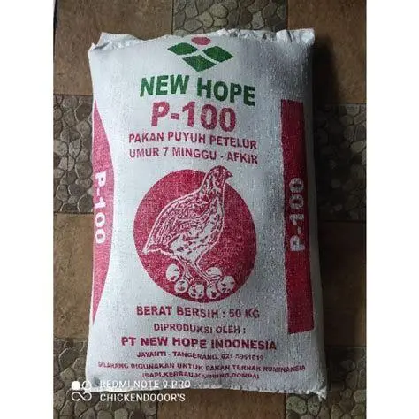 pakan puyuh pakan puyuh