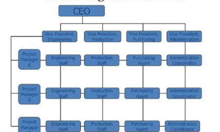 Struktur organisasi matriks