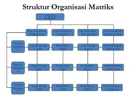 Struktur organisasi matriks Struktur organisasi matriks
