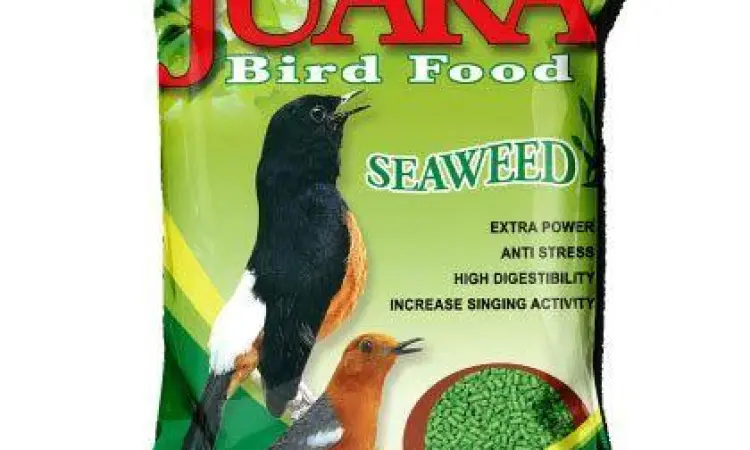 pakan burung pakan burung