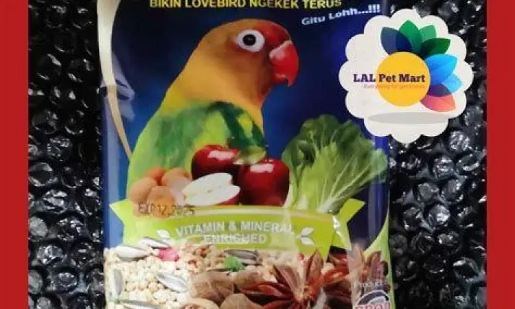 Pakan Lovebird