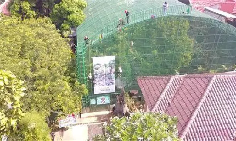 manajemen kandang burung manajemen aviary digital