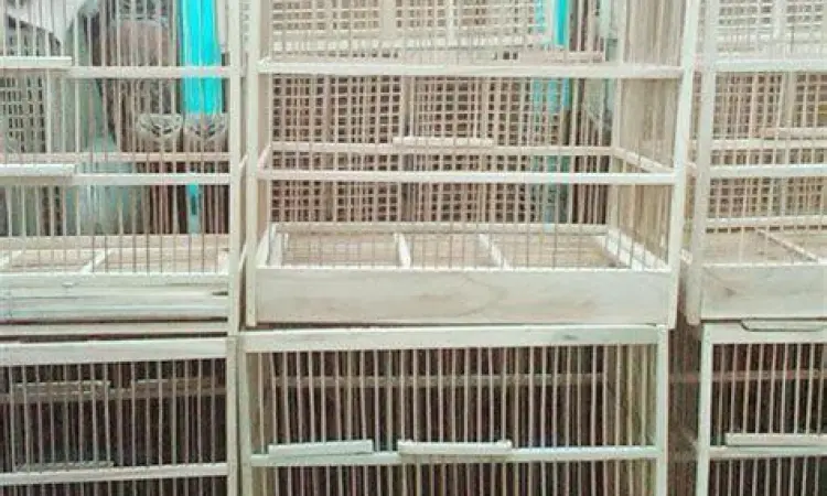 Perlengkapan Kandang Ternak Burung Kenari Perlengkapan Kandang Ternak Burung Kenari