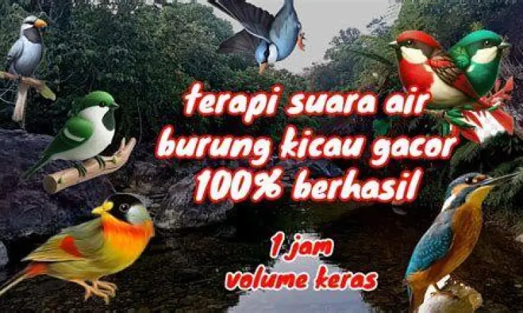 terapi suara burung