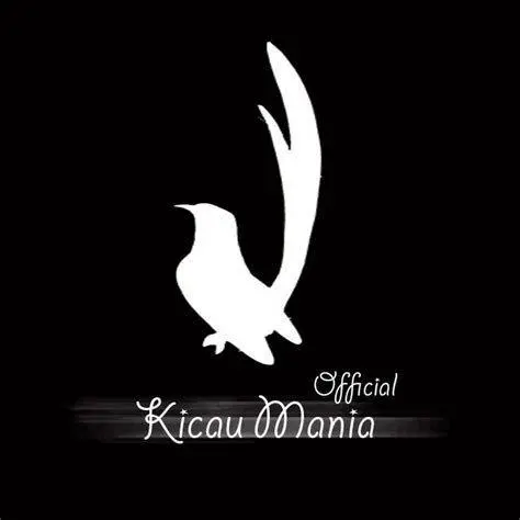 komunitas kicau mania komunitas kicau mania