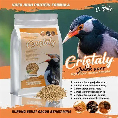 pakan jalak suren pakan jalak suren