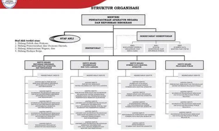 struktur organisasi BUMS