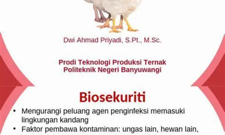 kesehatan ternak kesehatan ternak