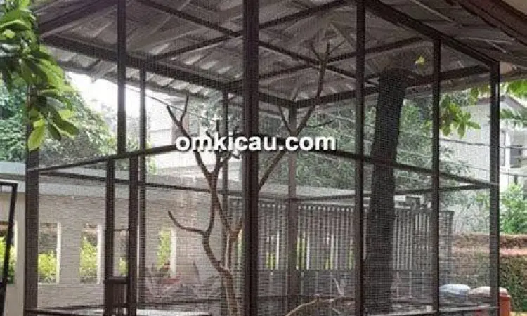 desain kandang burung kicau