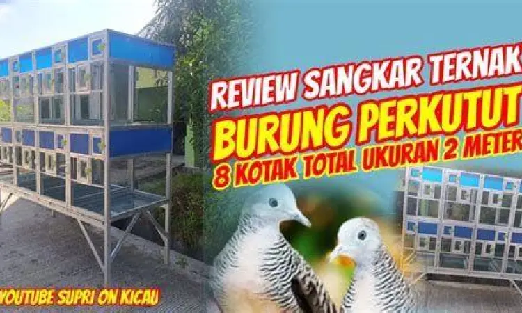 Sangkar Ternak Perkutut