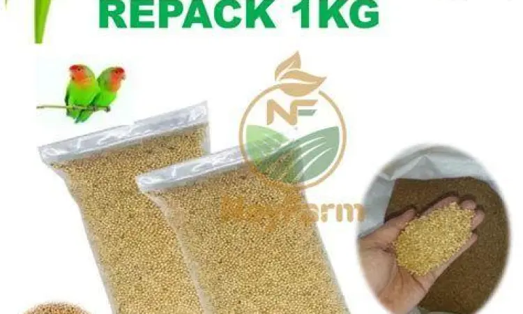 Pakan Perkutut Berkualitas Pakan Perkutut Berkualitas