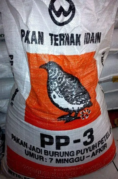 pemberian pakan burung berkualitas pemberian pakan burung berkualitas
