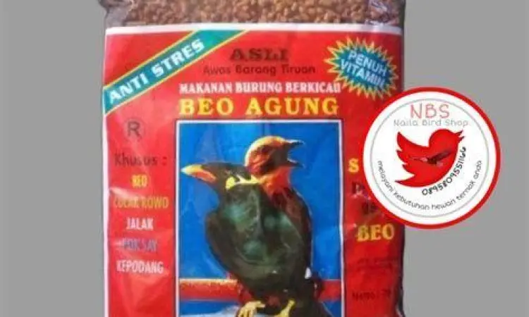 pakan burung beo pakan burung beo