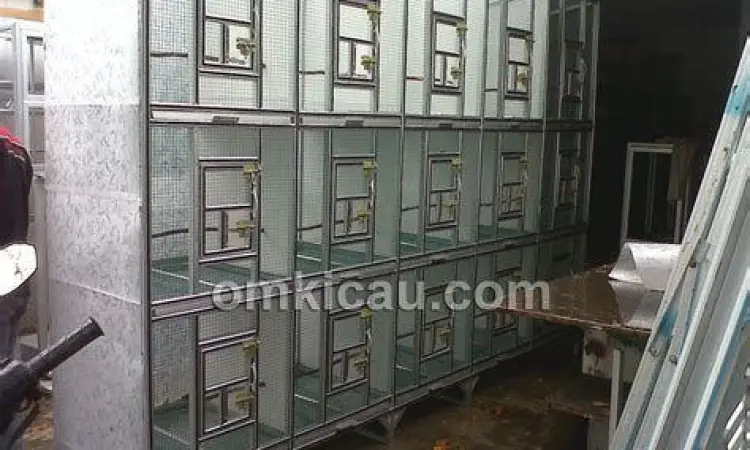 Kandang Merpati Kandang Merpati