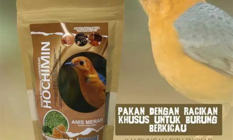 pakan anis kembang pemberian pakan cacing tanah untuk burung