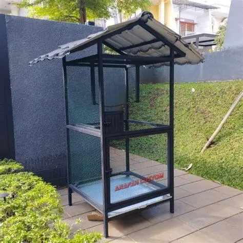 kandang ternak burung beo kandang ternak burung beo
