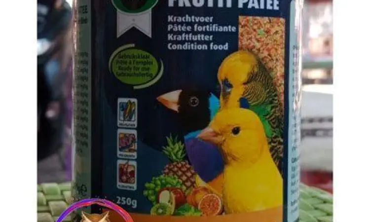 pakan burung gelatik belong