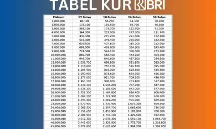 Proses KUR BRI Proses KUR BRI