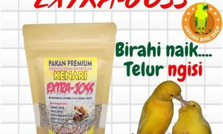 pakan kenari biar cepat bertelur pakan kenari biar cepat bertelur