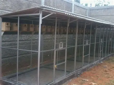 kandang ternak kenari kandang ternak kenari