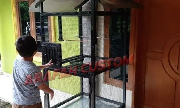 kandang koloni burung parkit
