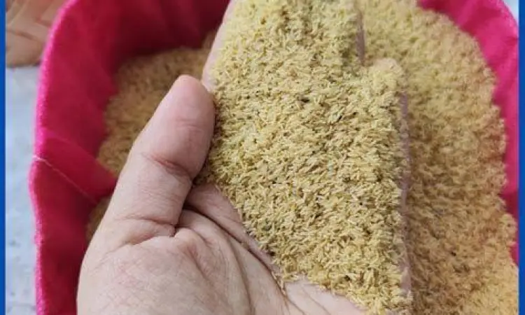 telur jangkrik menetas