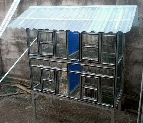 lokasi kandang ternak burung terbaik lokasi kandang ternak burung terbaik