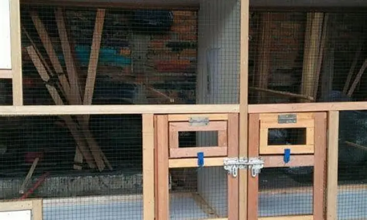 kandang ternak burung kacer minimalis