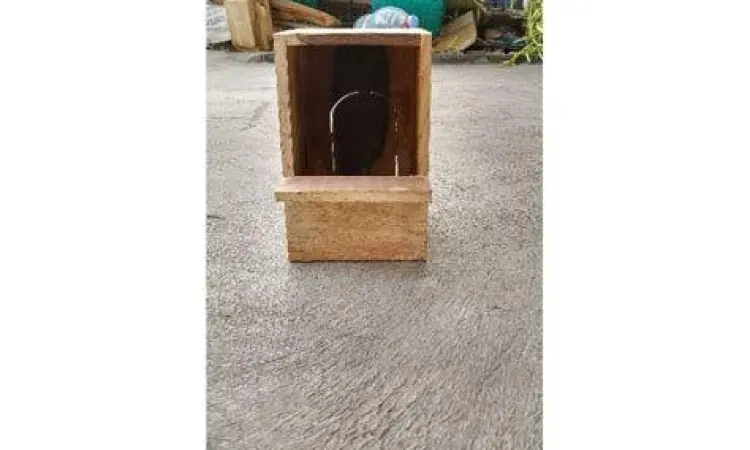 Kotak Sarang Murai Kotak Sarang Murai