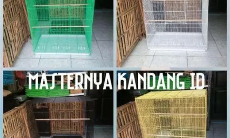 kandang peternak burung kacer