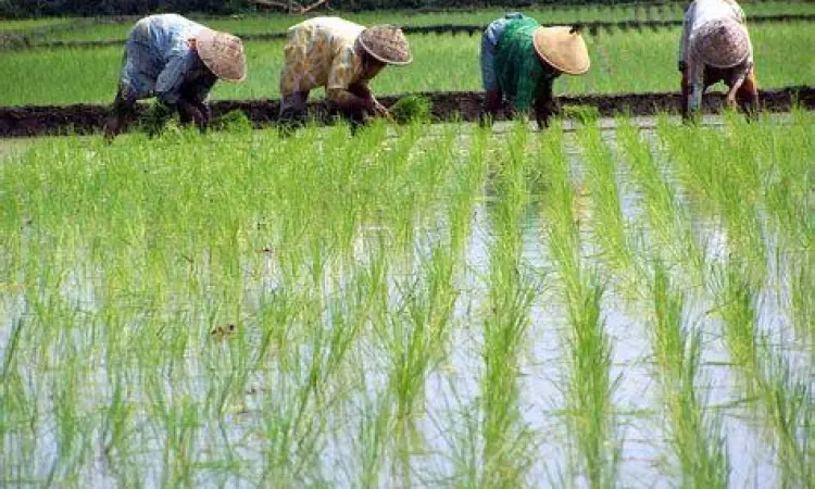 kegiatan ekonomi bidang usaha agraris