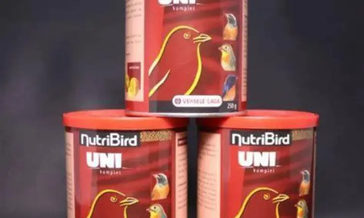 pemberian pakan konsentrat burung unta