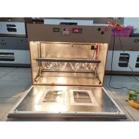 Inkubasi Telur Burung Unta proses inkubasi telur burung unta dalam mesin