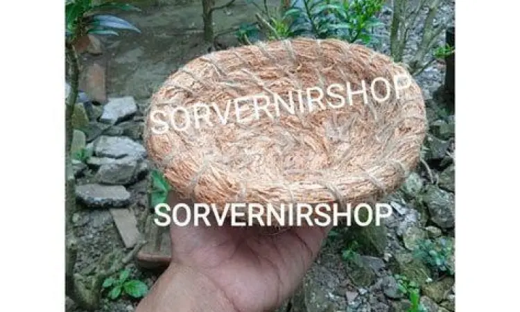 sarang burung perkutut alami material sarang burung perkutut dari serat kelapa