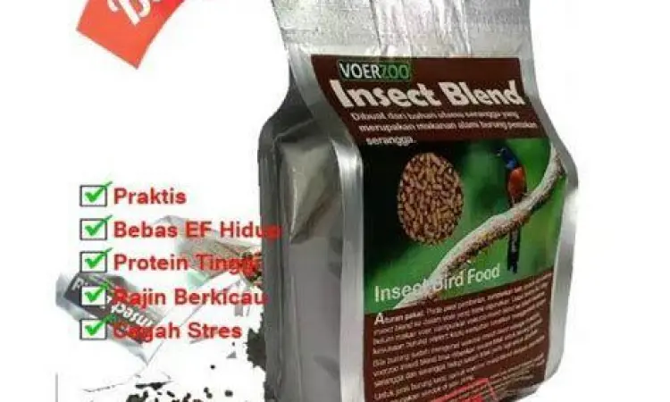 pakan serangga burung decu pakan serangga burung decu