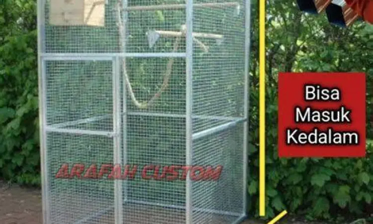 kandang aviary burung falk