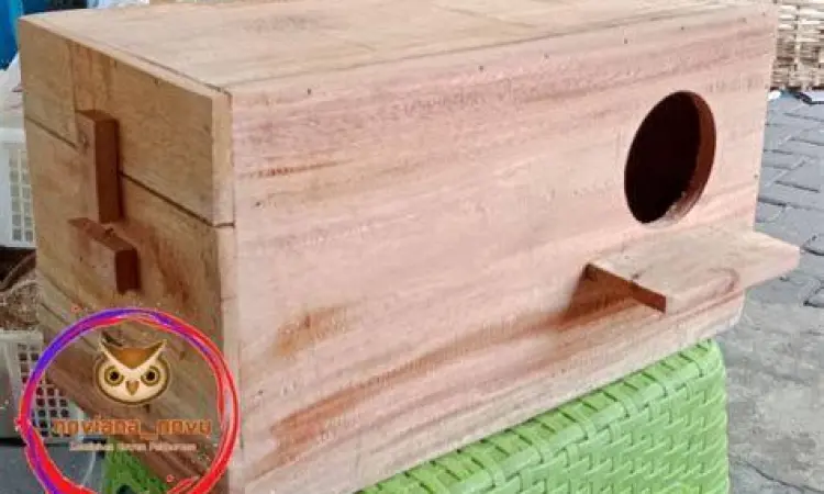 posisi glodok ternak falk