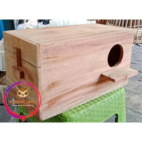 posisi glodok ternak falk posisi glodok ternak falk