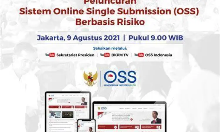 sistem OSS RBA