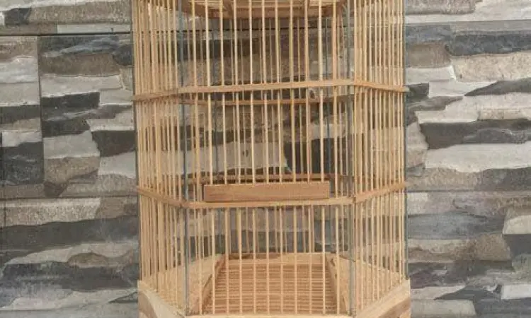 Kandang koloni burung pleci Kandang koloni burung pleci