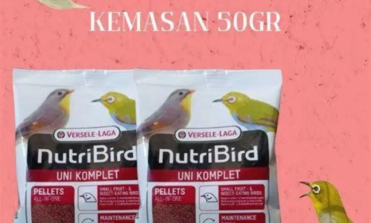 Pakan nutrisi pleci