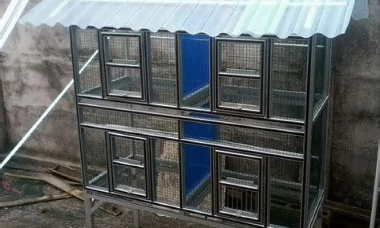 kandang burung puter