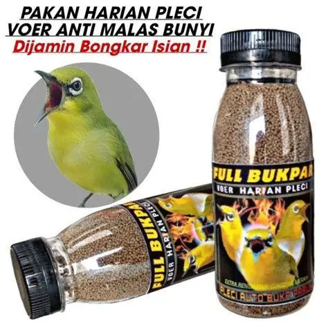 pakan serangga burung tledekan pakan serangga burung tledekan